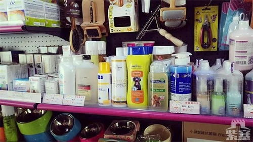 紫塞明珠，安心之選——承德私寵訂制寵物美容服務(wù)