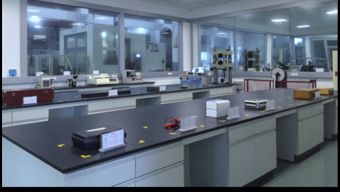 保一集團(tuán)檢測(cè)中心順利通過CNAS現(xiàn)場(chǎng)評(píng)審，助力飼料添加劑生產(chǎn)質(zhì)量提升